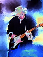 Coyote in concert 2010, Tujunga, California